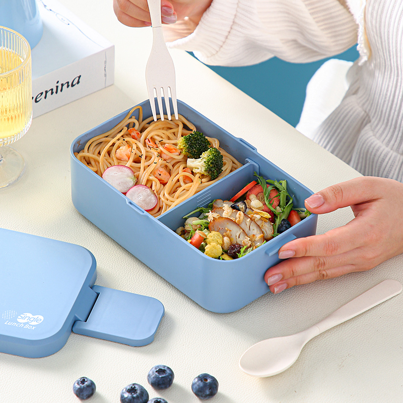 Picnic Lunch Box Bamboo Fiber  – Bento Box Two Tier recenzja i cena